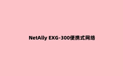 NetAlly EXG-300便携式网络专业智能测试工具